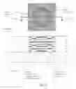 Fig. 09 - SECURITY HOLOGRAMS