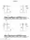 Fig. 17 - Developer transport substrate configuration for an image forming apparatus