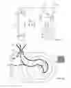 Fig. 10 - SUBMERSIBLE PUMP WITH INTEGRATED LIQUID LEVEL SENSING AND CONTROL SYSTEM