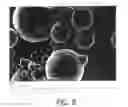 Fig. 08 - Atomized picoscale composite aluminum alloy and method thereof
