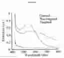 Fig. 03 - Molecular Specific Photoacoustic Imaging