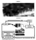 Fig. 05 - Molecular Specific Photoacoustic Imaging