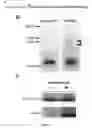 Fig. 07 - Methods and compositions for inhibiting diseases of the central nervous system