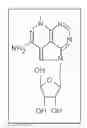 Fig. 01 - COMPOSITIONS INCLUDING TRICIRIBINE AND TRASTUZUMAB AND METHODS OF USE THEREOF