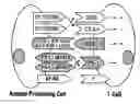 Fig. 01 - Polypeptides that modulate the interaction between cells of the immune system