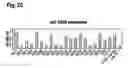 Fig. 21 - Polypeptides that modulate the interaction between cells of the immune system