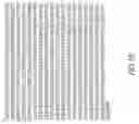 Fig. 03 - Compositions and methods comprising glycyl-tRNA synthetases having non-canonical biological activities