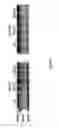 Fig. 07 - METHOD OF DIAGNOSING A NEURODEGENERATIVE DISEASE