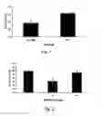 Fig. 02 - BRAIN-DERIVED GONADOTROPINS AND COGNITION