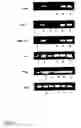 Fig. 03 - Modulation of T helper cell-mediated immune responses