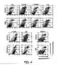 Fig. 09 - SYNERGISTIC EFFECT BETWEEN A CYANOGENIC SYSTEM AND ANOTHER OXIDATIVE INDUCING SYSTEM FOR TREATING TUMORS