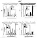 Fig. 02 - Pharmaceutical and cosmetic use of extracts from algae obtainable from saline hot water sources