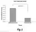 Fig. 06 - Tissue scaffolds derived from forestomach extracellular matrix