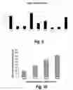 Fig. 09 - Tissue scaffolds derived from forestomach extracellular matrix