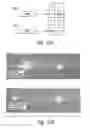Fig. 22 - Compositions and methods for treating inflammation