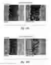 Fig. 25 - Compositions and methods for treating inflammation