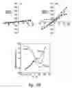 Fig. 76 - Compositions and methods for treating inflammation