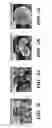 Fig. 06 - SILK MICROSPHERES FOR ENCAPSULATION AND CONTROLLED RELEASE