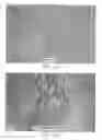 Fig. 13 - γ-butyrolactone compound and pharmaceutical composition thereof