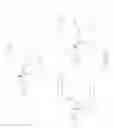 Fig. 20 - γ-butyrolactone compound and pharmaceutical composition thereof