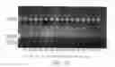 Fig. 25 - γ-butyrolactone compound and pharmaceutical composition thereof