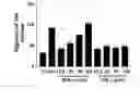 Fig. 01 - EXTRACT OF STEWARTIA KOREANA AND USE THEREOF