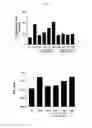 Fig. 02 - EXTRACT OF STEWARTIA KOREANA AND USE THEREOF