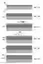 Fig. 02 - Methods and Devices for Processing a Precursor Layer in a Group VIA Environment