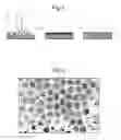 Fig. 02 - Ultrahydrophobic Surfaces and Methods for Their Production