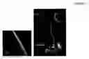 Fig. 09 - Carbon nanotubes grown on nanostructured flake substrates and methods for production thereof