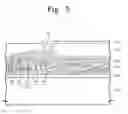 Fig. 05 - Flexible substrate, method of manufacturing display substrate, and method of manufacturing display panel