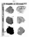 Fig. 08 - PROCESS OF PURIFYING NANODIAMOND COMPOSITIONS AND APPLICATIONS THEREOF