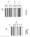 Fig. 02 - CONDUCTIVE MULTILAYER STACK