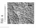 Fig. 04 - Polypropylene composition for air quenched blown films