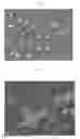 Fig. 02 - Porous Polyimide Membrane, Battery Separator, Battery, and Method