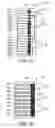 Fig. 05 - Methods of making composite electrodes