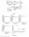 Fig. 09 - Bacterial replication systems and methods