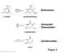 Fig. 02 - MOLECULE FOR PROVIDING A STANDARD FOR THE QUANTITATIVE ANALYSIS OF THE METHYLATIONS STATUS OF A NUCLEIC ACID