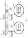 Fig. 07 - YEAST BASED EXPRESSION OF PROTEASES AND METHODS OF USE
