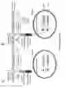 Fig. 08 - YEAST BASED EXPRESSION OF PROTEASES AND METHODS OF USE