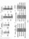 Fig. 09 - YEAST BASED EXPRESSION OF PROTEASES AND METHODS OF USE