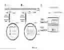 Fig. 10 - YEAST BASED EXPRESSION OF PROTEASES AND METHODS OF USE