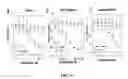 Fig. 13 - YEAST BASED EXPRESSION OF PROTEASES AND METHODS OF USE
