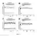 Fig. 14 - YEAST BASED EXPRESSION OF PROTEASES AND METHODS OF USE