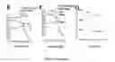 Fig. 15 - YEAST BASED EXPRESSION OF PROTEASES AND METHODS OF USE