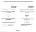 Fig. 24 - YEAST BASED EXPRESSION OF PROTEASES AND METHODS OF USE