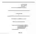 Fig. 29 - YEAST BASED EXPRESSION OF PROTEASES AND METHODS OF USE