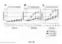 Fig. 31 - YEAST BASED EXPRESSION OF PROTEASES AND METHODS OF USE
