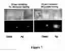 Fig. 08 - Microwave accelerated assays