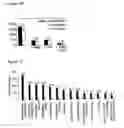 Fig. 47 - System and methods for identifying miRNA targets and for altering miRNA and target expression